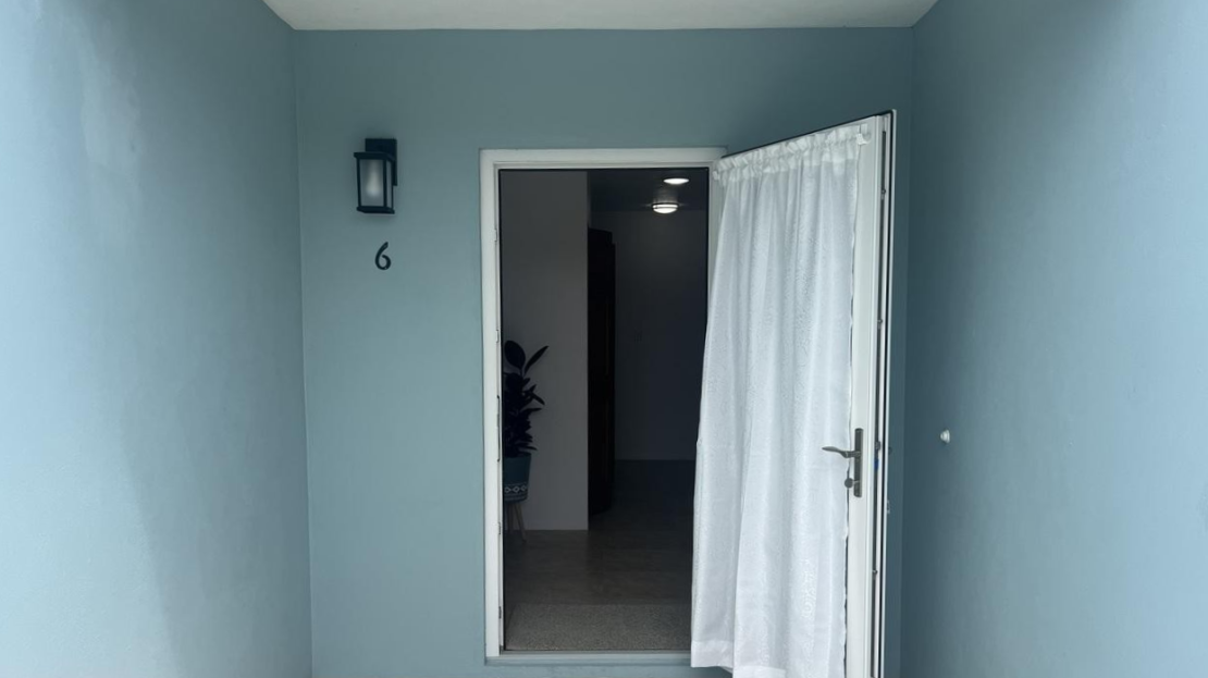 video image