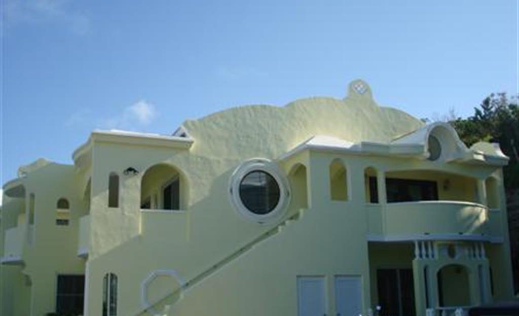 video image