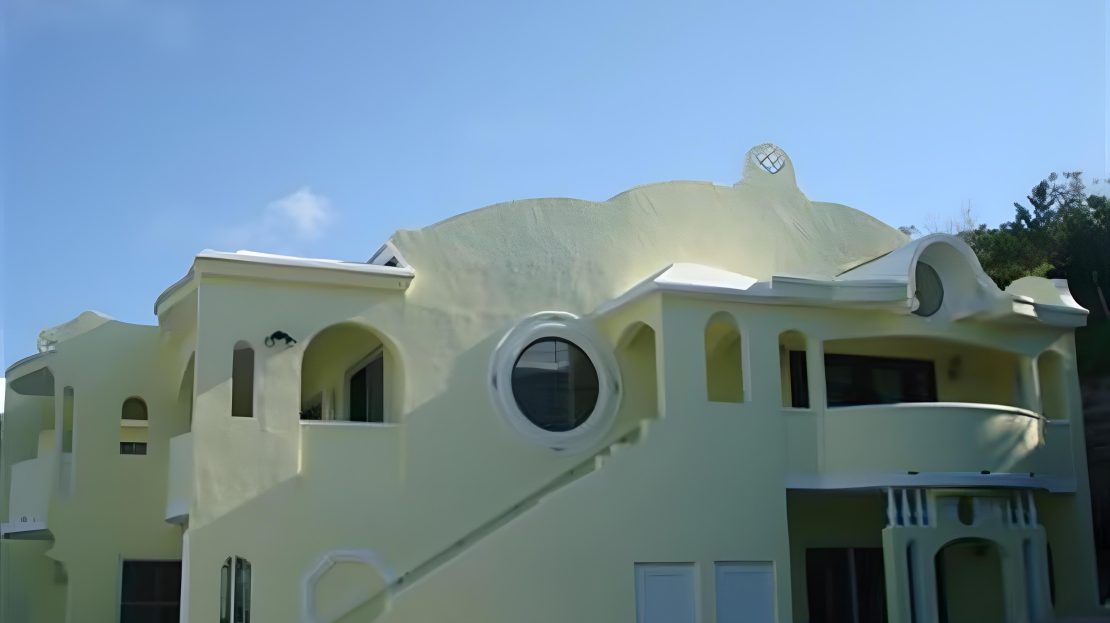 video image